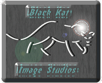 Black Kat Image Studios